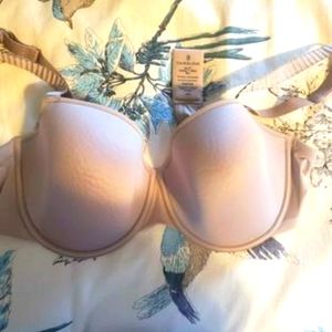ThirdLove Classic T-shirt Bra Size 40C